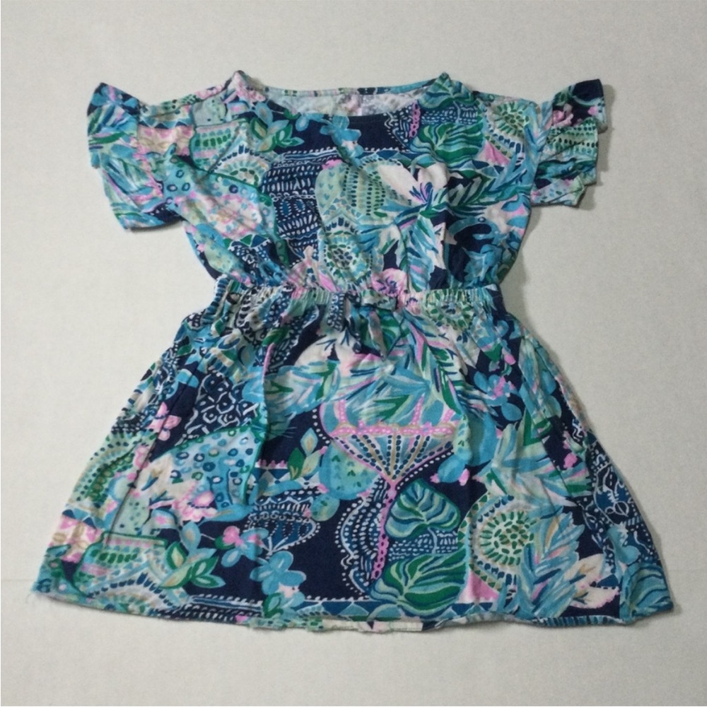 Lilly Pulitzer Dress 4/5